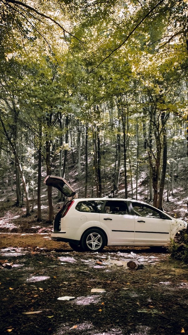 Break véhicule : Trouver le meilleur modèle familial avec notre guide complet